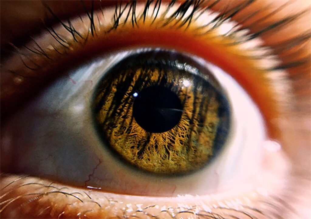 Detailed extreme close-up of a human eye showcasing the intricate patterns of the iris.